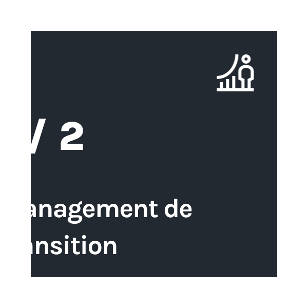 Management de transition